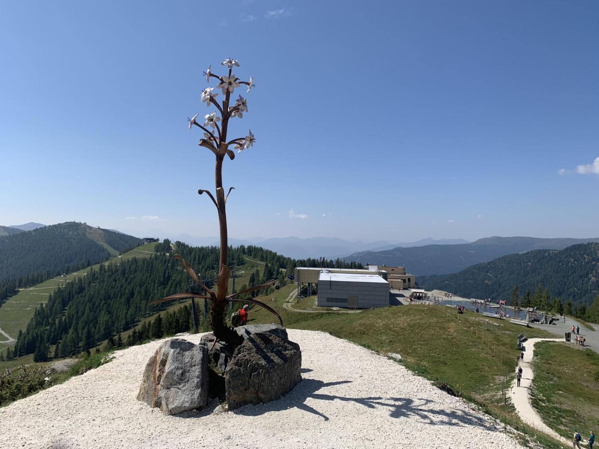 Gasthof Kirchenwirt Gnesau Екстер'єр фото
